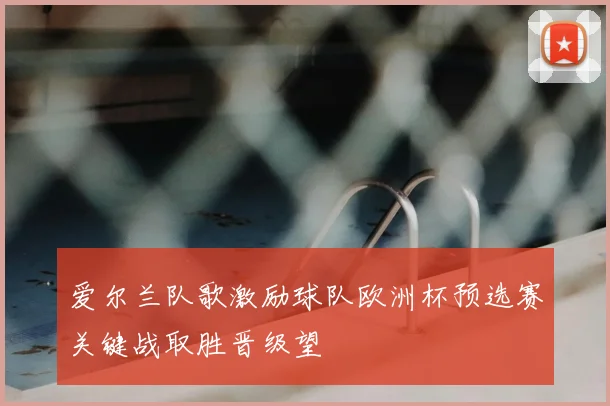 爱尔兰队歌激励球队欧洲杯预选赛关键战取胜晋级望