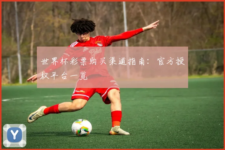 世界杯彩票购买渠道指南:官方授权平台一览