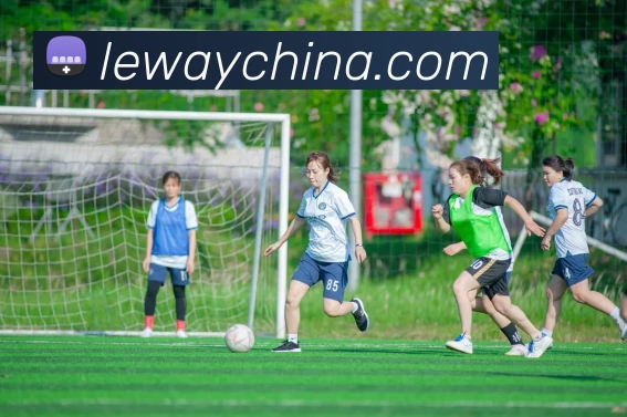 k1体育·(中国)官方网站平台生态图